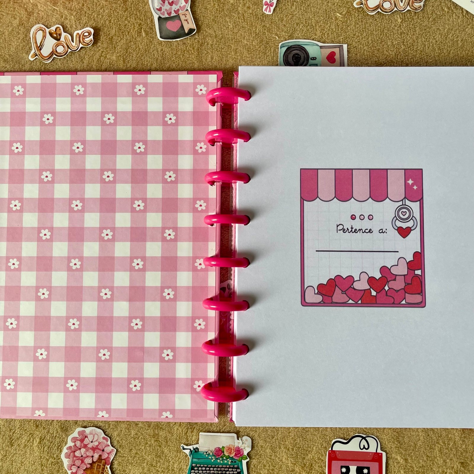caderno de disco pick love caderno de disco pick love
